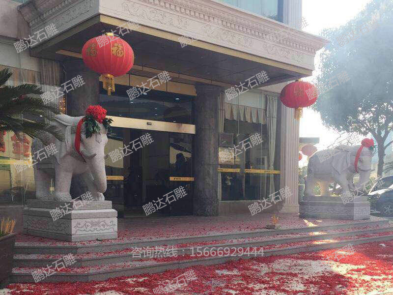 石雕大象安裝案例